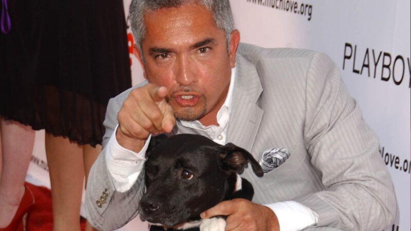 „Šuns šnabždesys“ Cesaras Millanas tariamai paslėpė siaubingą šuns mirtį nuo karalienės Latifah