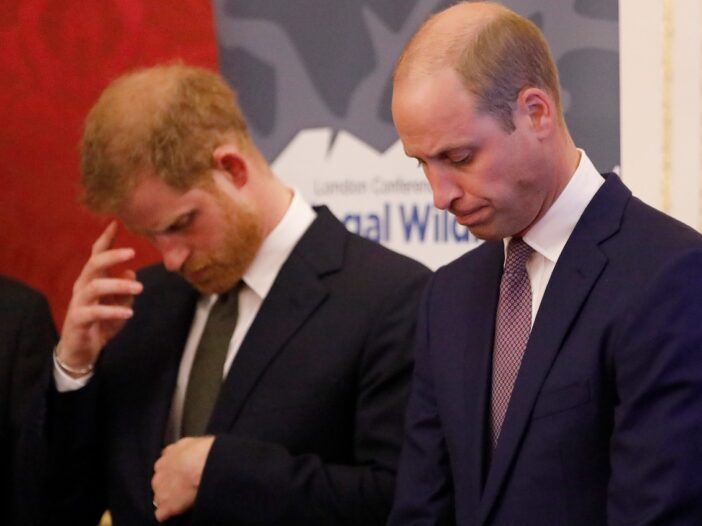 El príncipe Harry y el príncipe William con la cabeza gacha
