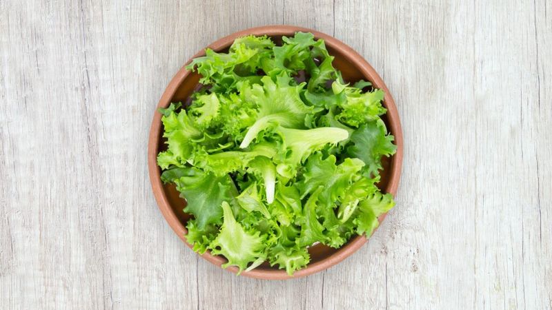 Salātu bļoda
