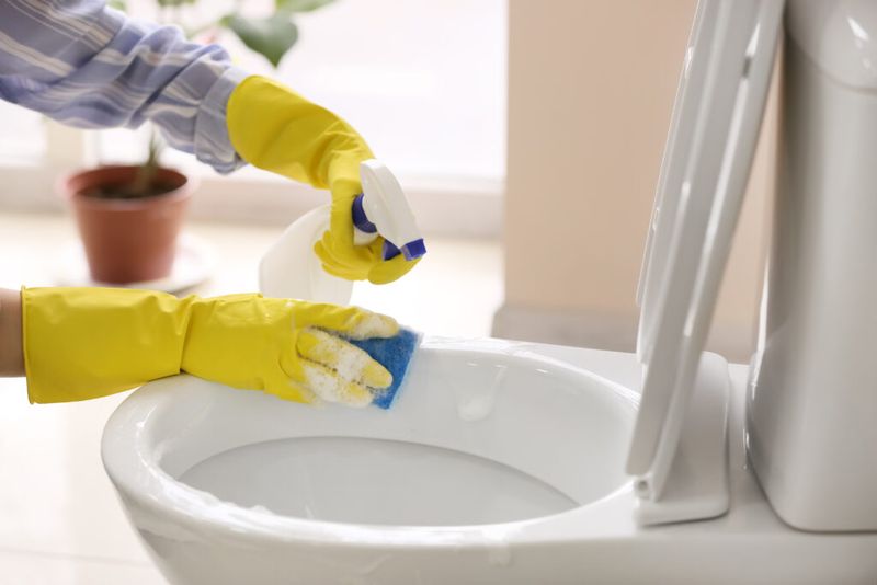 imagen de mujer limpiando wc